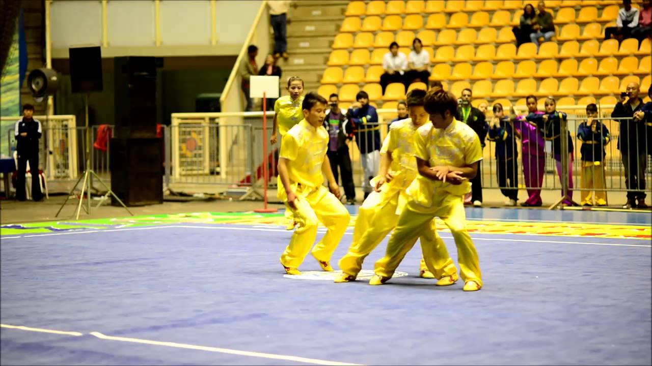 Wushu Chinese Team