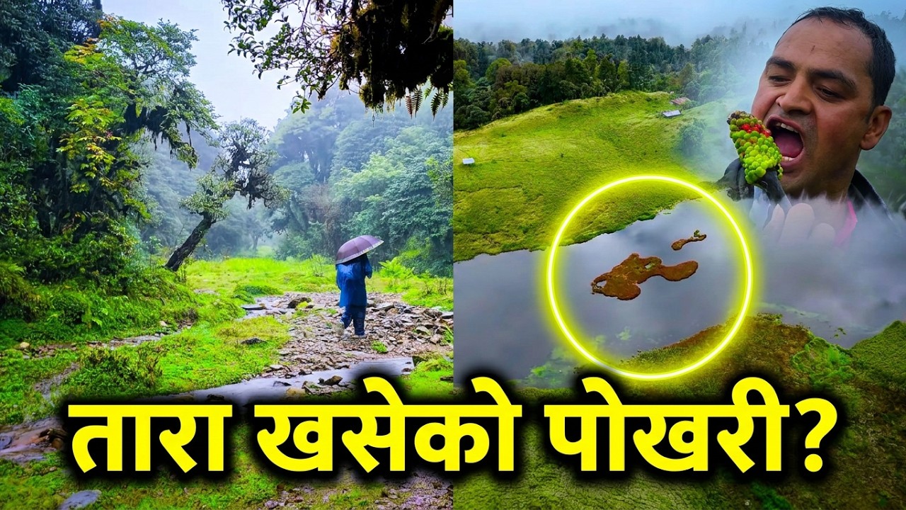 तारा खसेर बनेको अचम्मको पोखरी | मुन्दुम पदमार्ग हुँदै साल्पा सिलिचुङ यात्रा | Mundum Trail 