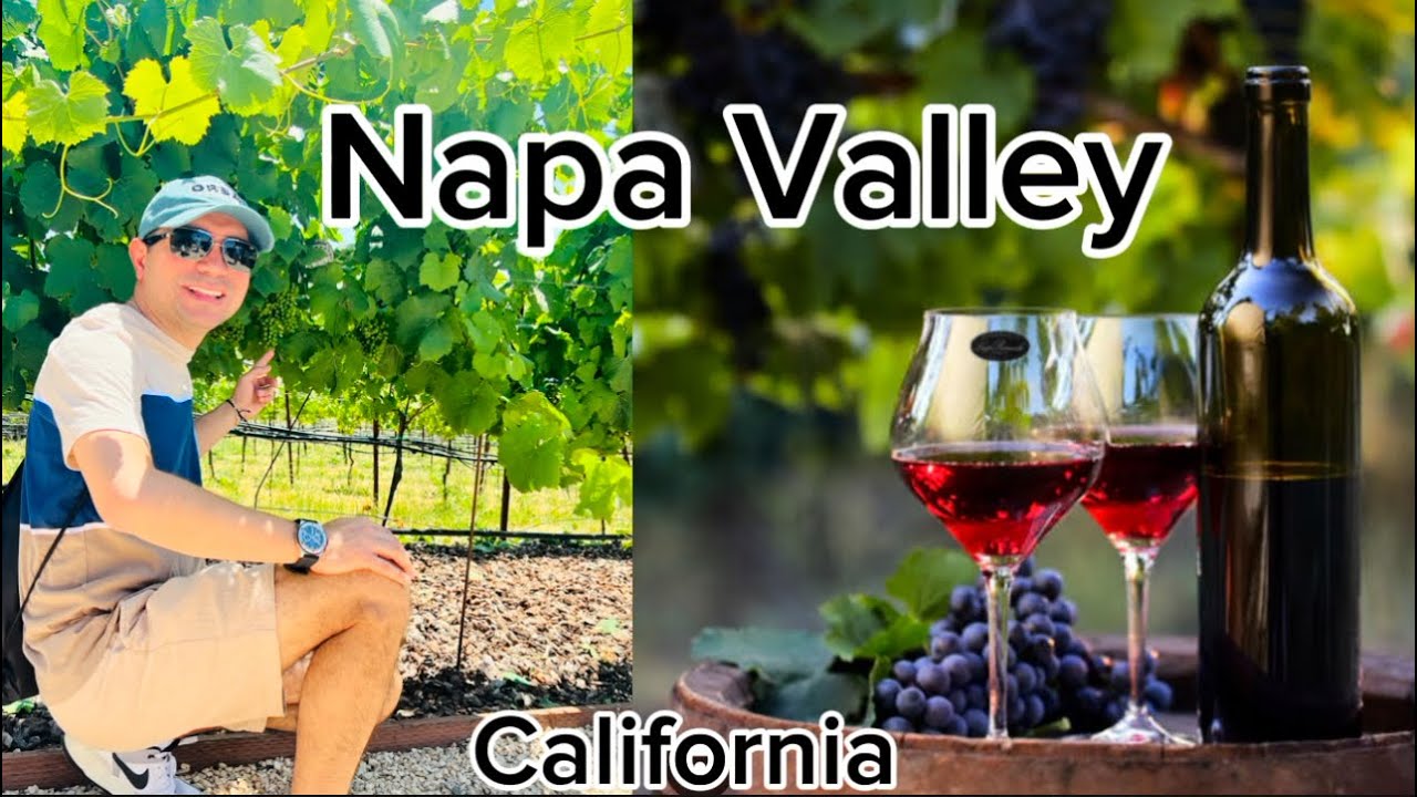 Explorando Napa Valley, El Paraíso del Vino En California