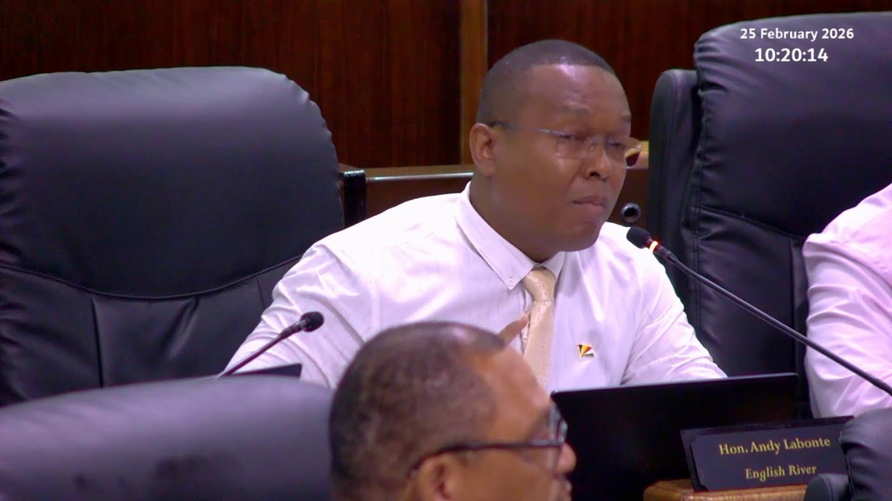 Budget 2026 Committee Stage - Sitting Wednesday 25 February 2026 Part 1