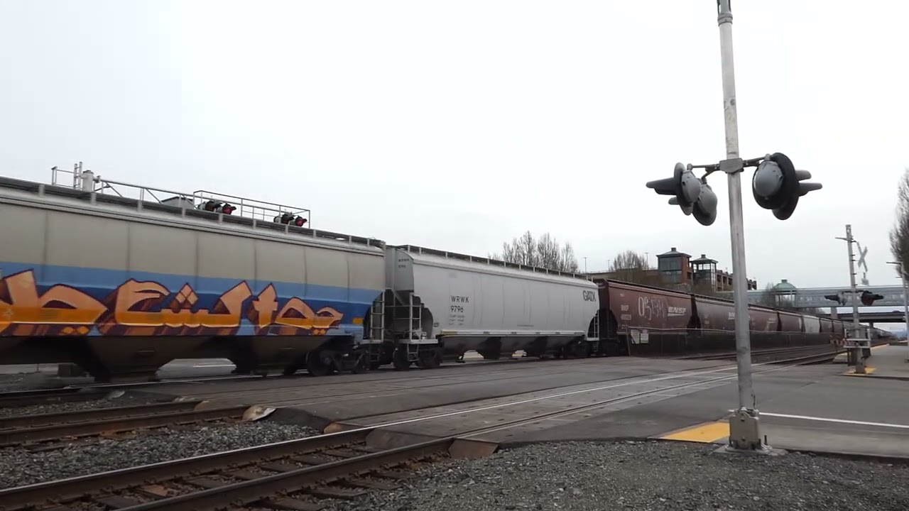 (NB) BNSF Loaded / Empty Grain Train passes through the Main Street Railroad Crossing. (Auburn, WA)