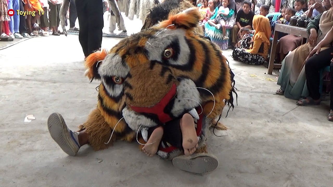 Barongan Macan Nyaplok Cewek Di Daon Lor Karangtengah