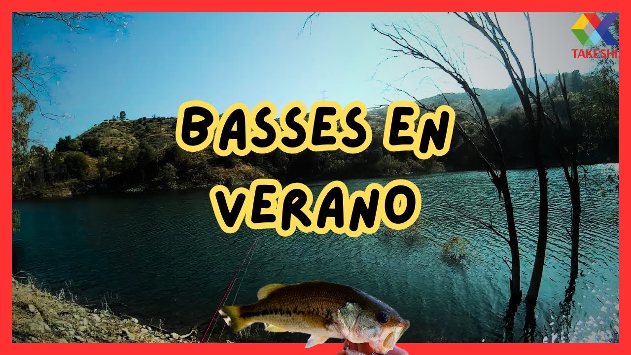 PESCA de BASSES en VERANO entre ARBOLES