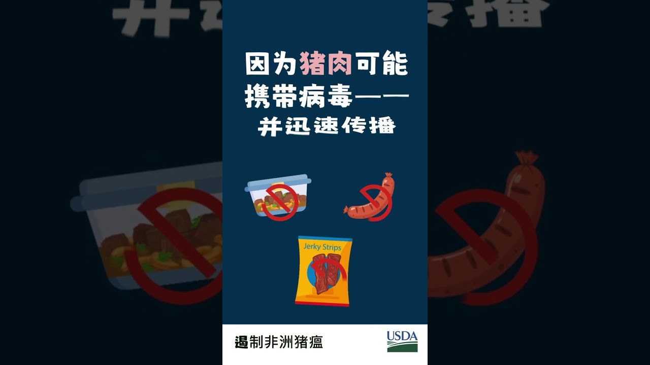 遏制非洲猪瘟