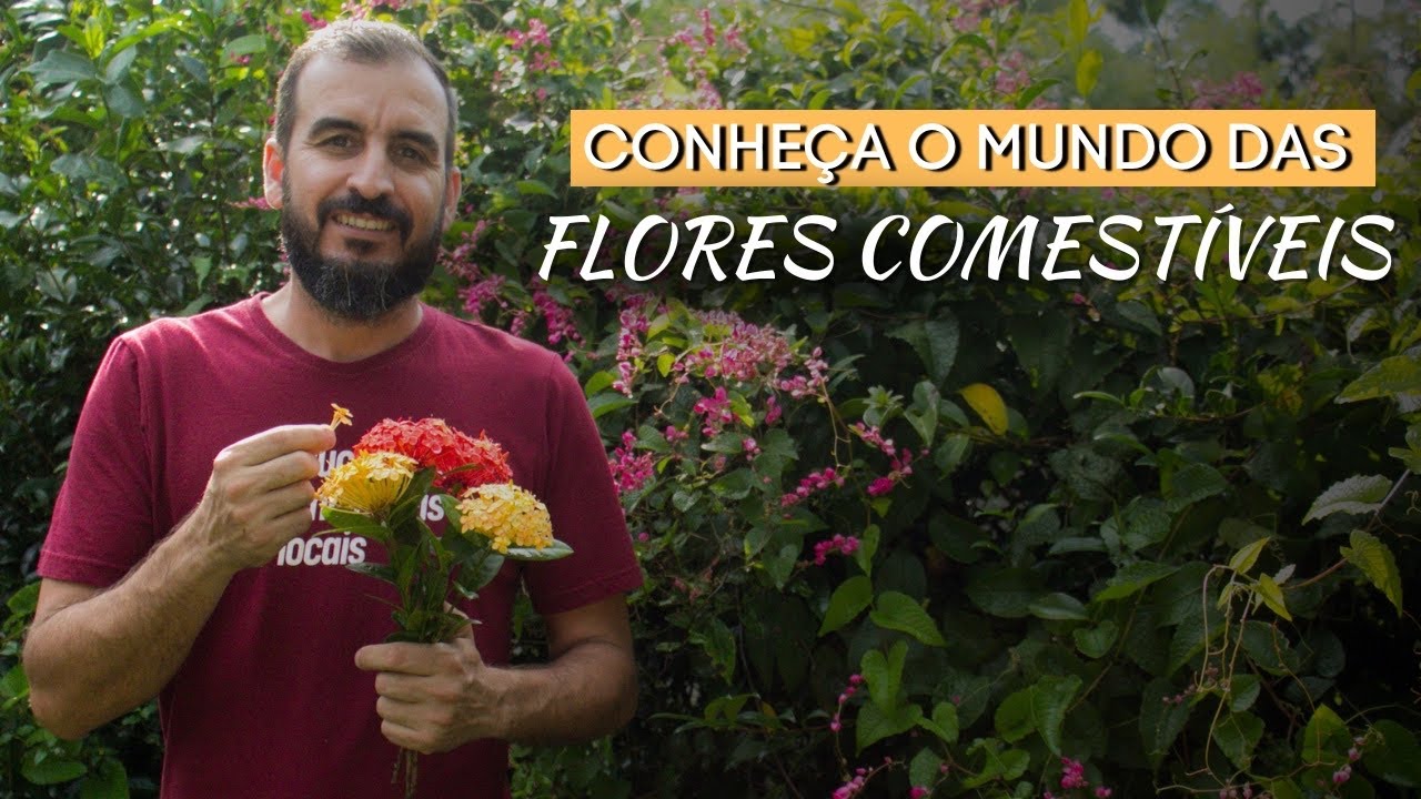 PALESTRA COMPLETA SOBRE FLORES COMESTÍVEIS