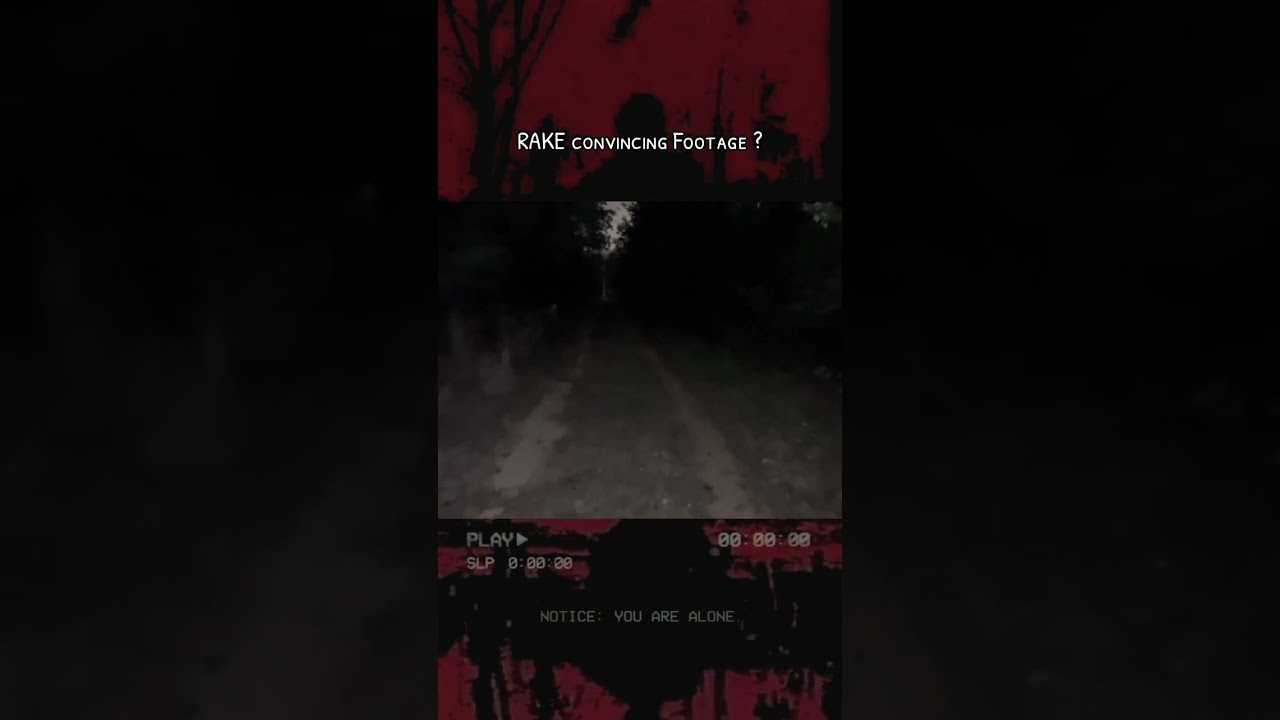 Rake cryptid caught on camera 