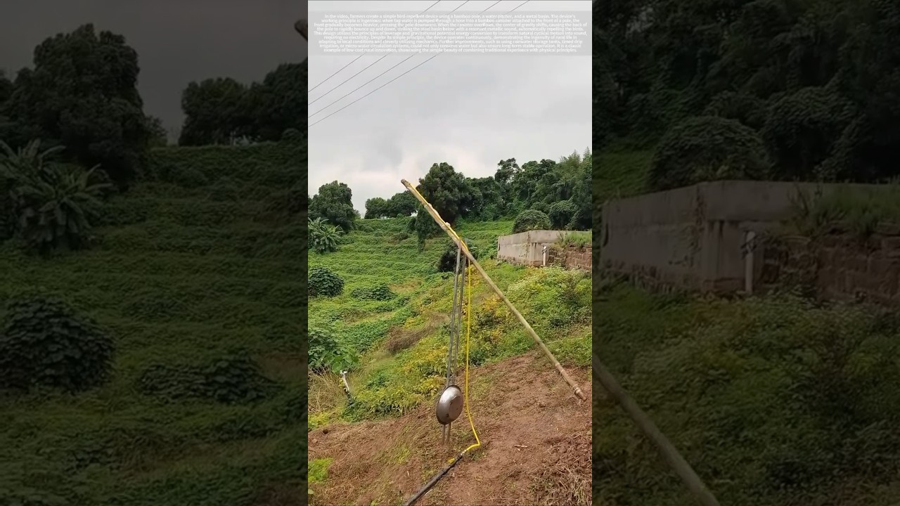 Rural Wisdom: Homemade Automatic Farmland Bird Repellent Device