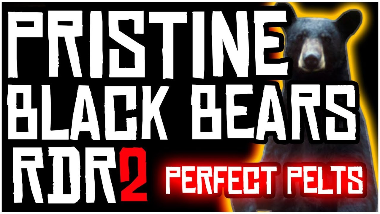 HOW TO FIND PRISTINE BLACK BEARS AND GET PERFECT PELT FAST IN RED DEAD REDEMPTION 2 | LOCATION GUIDE