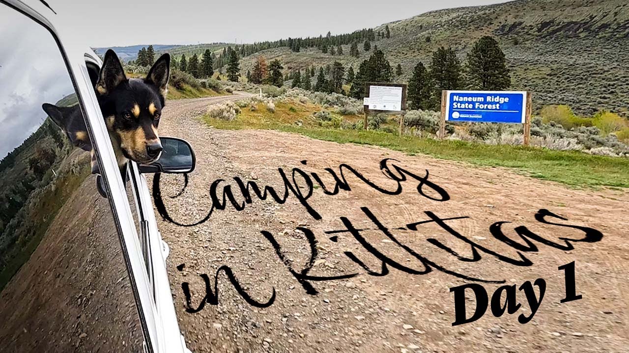 Camping in Kittitas: Day 1 - Naneum Ridge State Forest, Washington