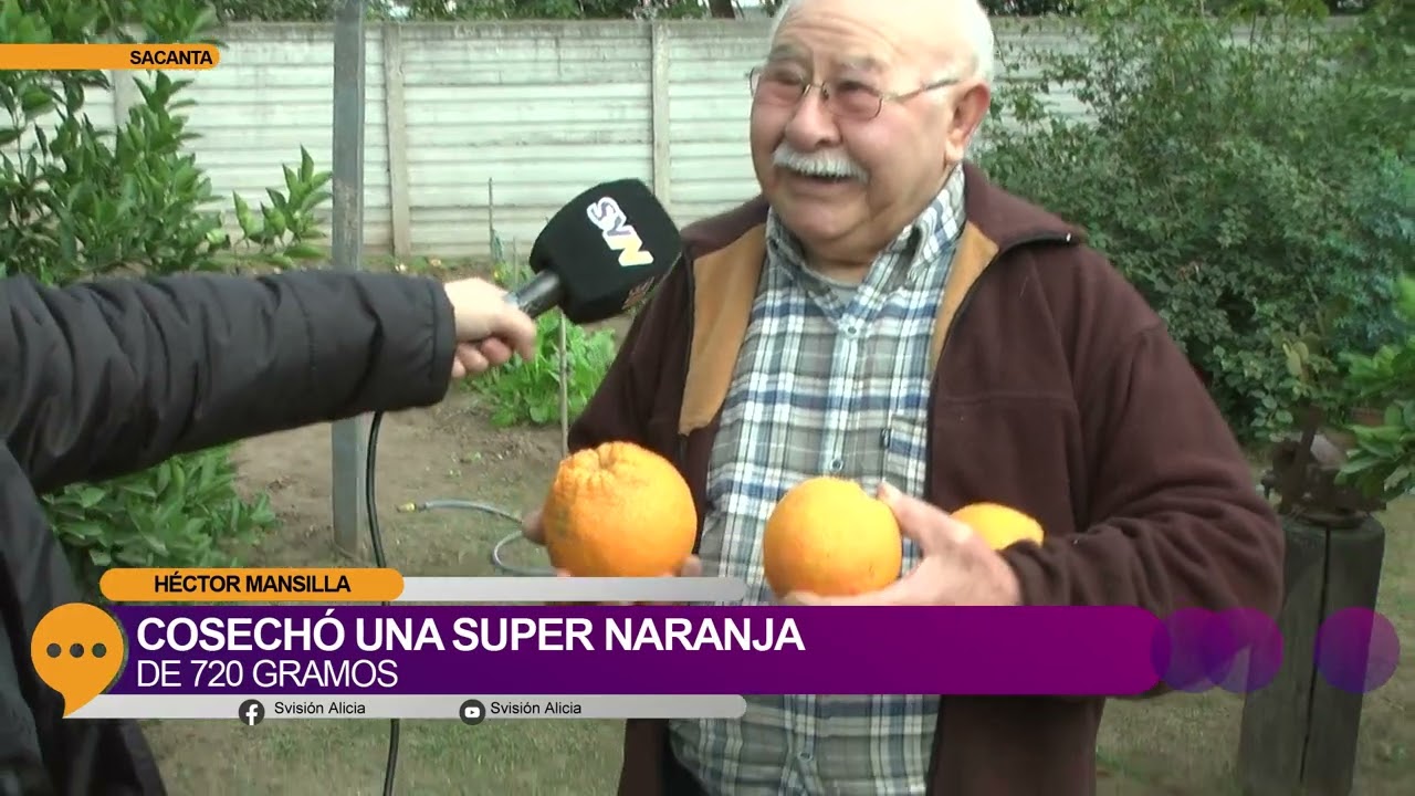 La Super Naranja de 720 gramos!