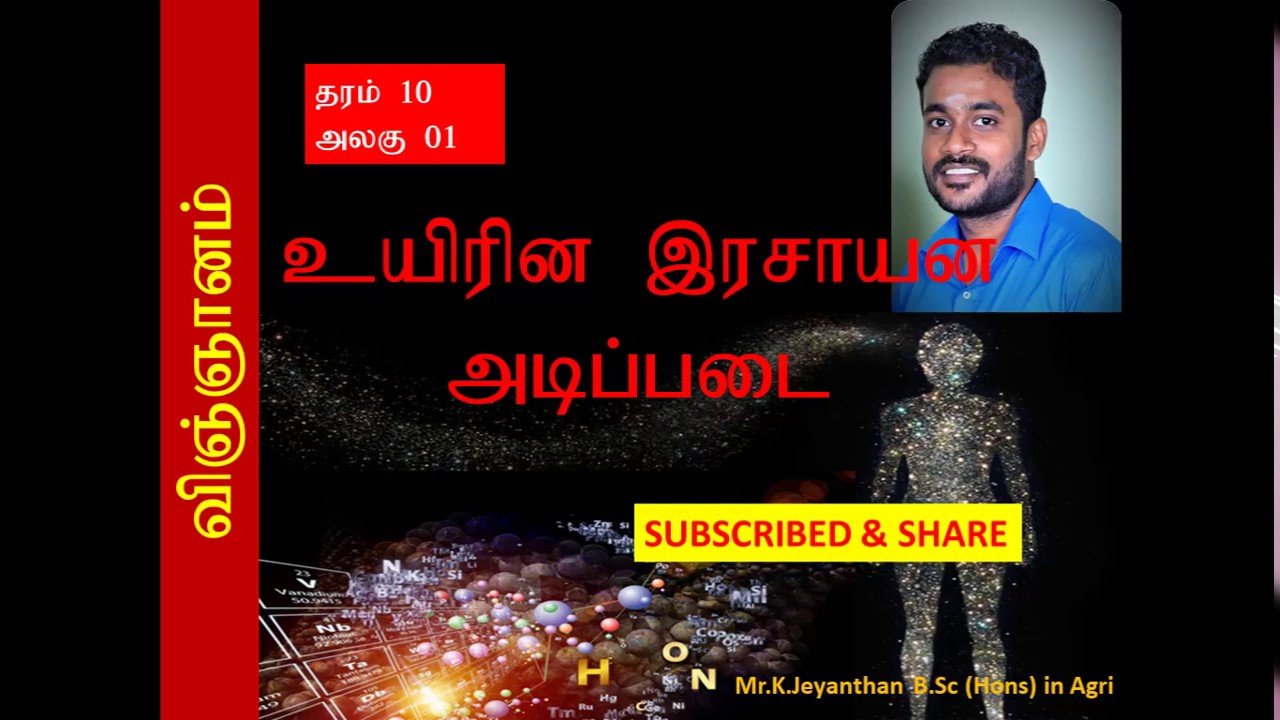 Grade 10 Science Unit 01 Chemical Basis Of Life  - Carbohydrates