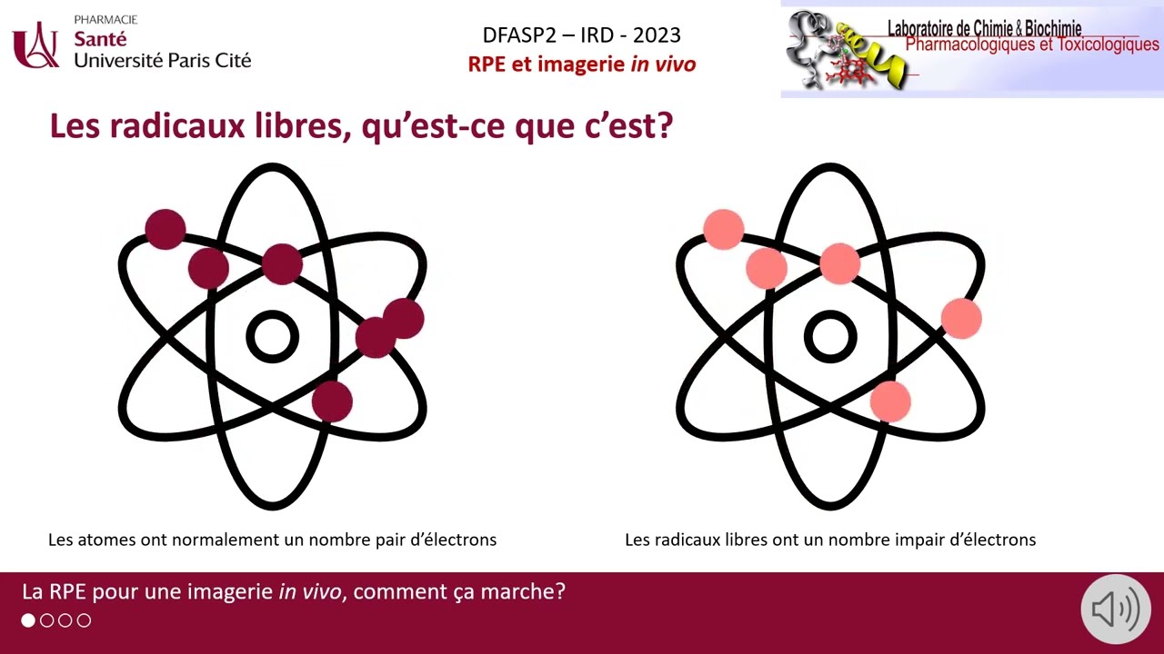 RPE et imagerie in vivo