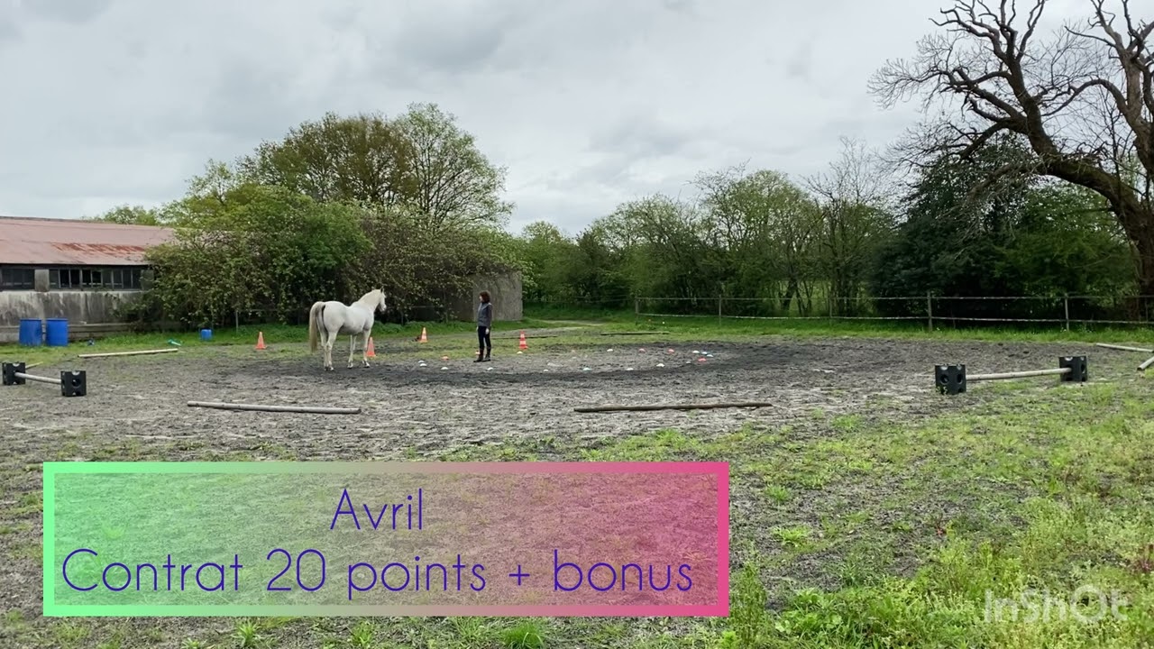 Tournoi Equifeel Partage 2024