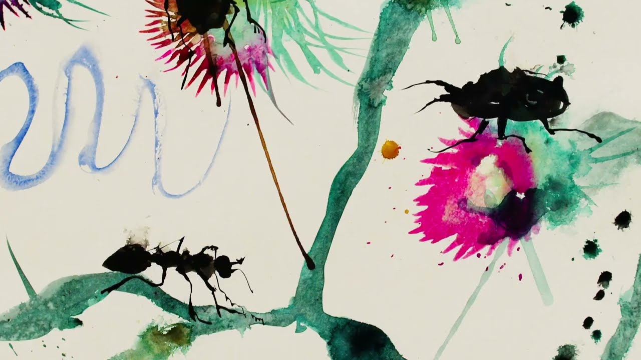 Miquel Barceló - Kiwayu