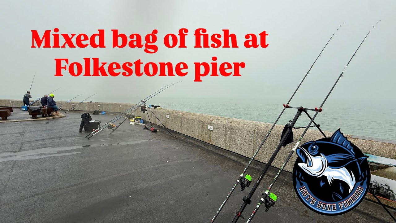 Finally found some fish after a long winter at Folkestone pier