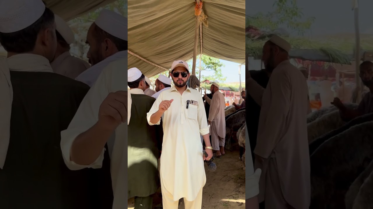 Sarband Mandi Peshawar 2024