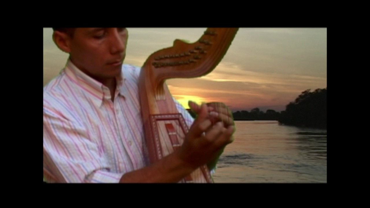 William Macualo - Garzas al vuelo