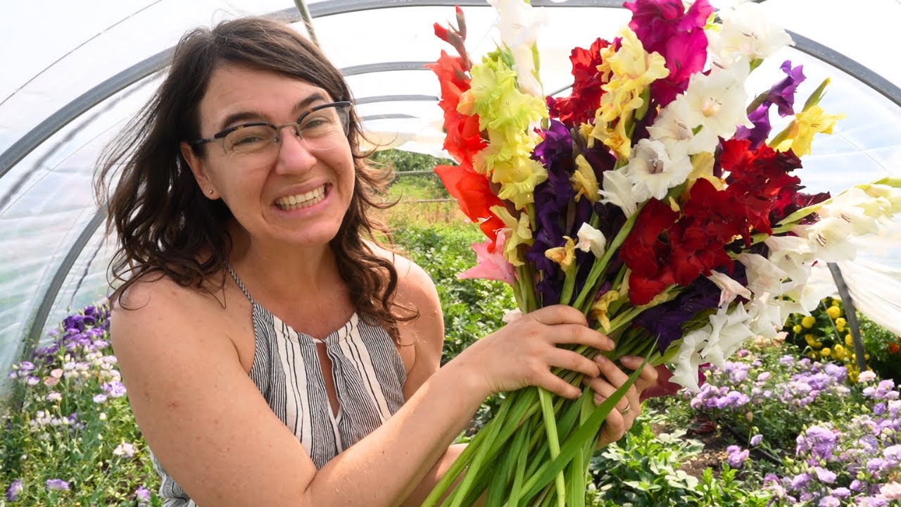 1000 Gladiolus Are Blooming!  Fun With Flowers