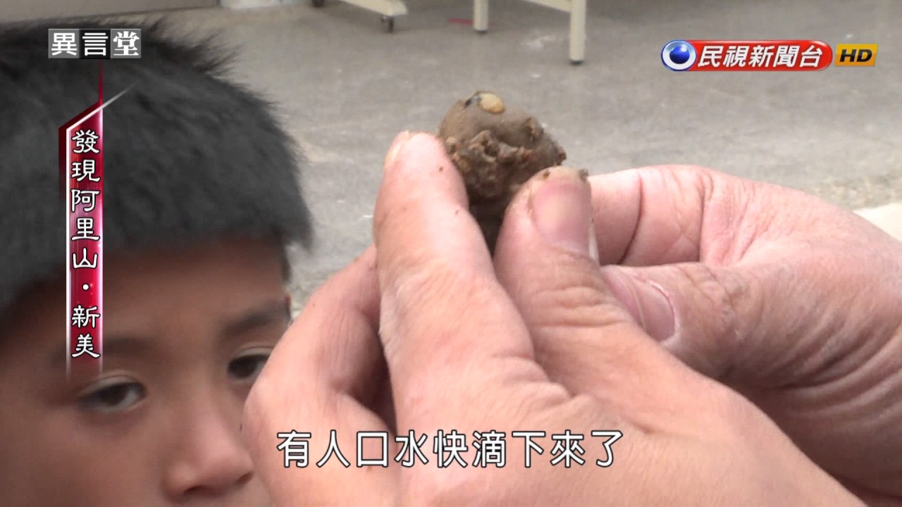 2017.03.25【民視異言堂】發現阿里山‧新美