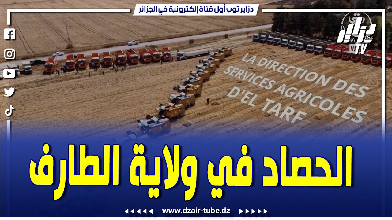 شاهدوا ...فيديو لن يعجب أعداء الجزائر ...هكذا جرت حملة الحصاد بولاية الطارف
