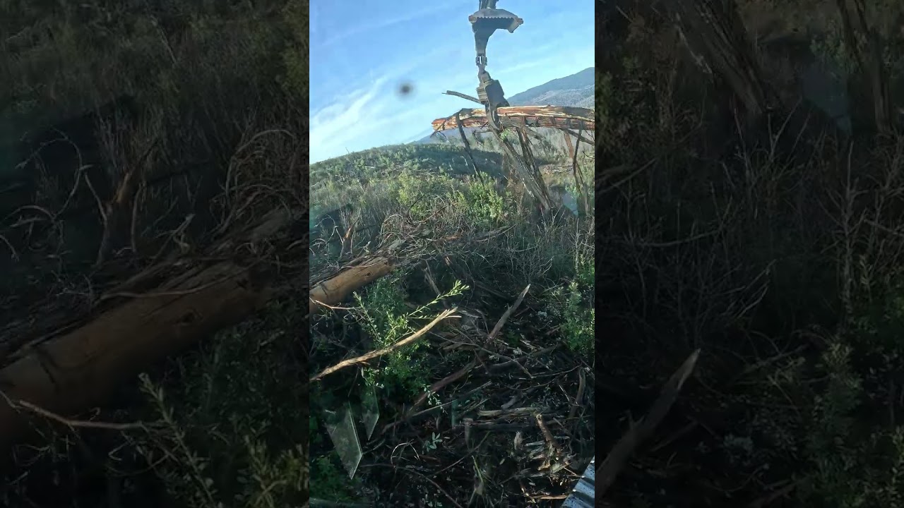 Northern California cleanup