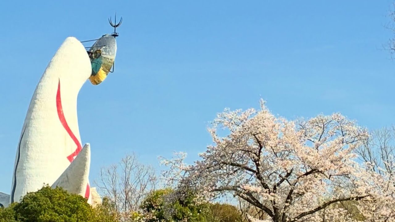 Expo&lsquo;70 Park, Osaka, Cherry Blossoms and Tulips