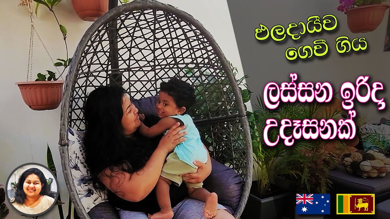 අරුත්බර ඉරිදාවක් | Sunday morning routine, meal prep, garden updates  & a friendly chat | Sinhala