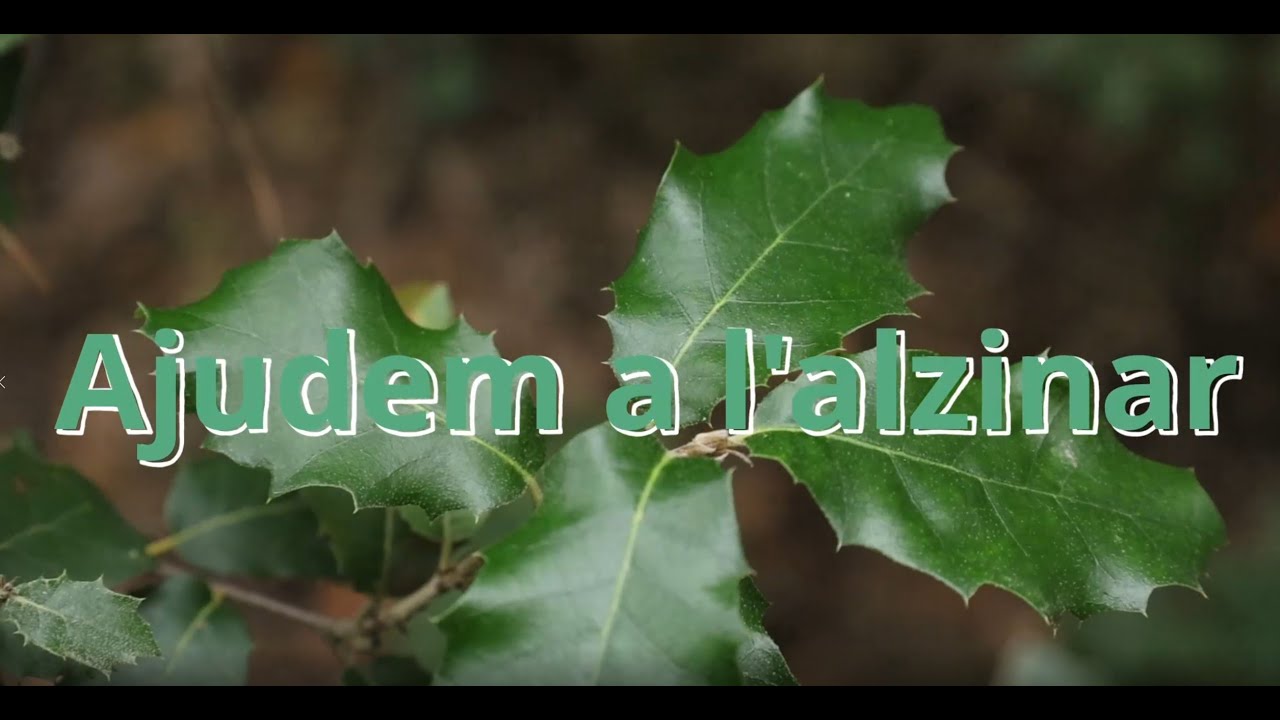 Ajudem a l'alzinar | Let it out - Stay Homas (Cover)