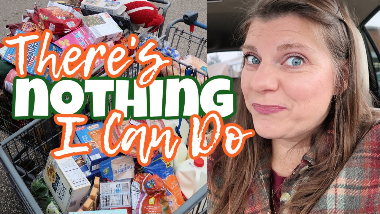 This Could've Been A HUGE GROCERY HAUL | November Groceries From Walmart | Aldi | KwikTrip