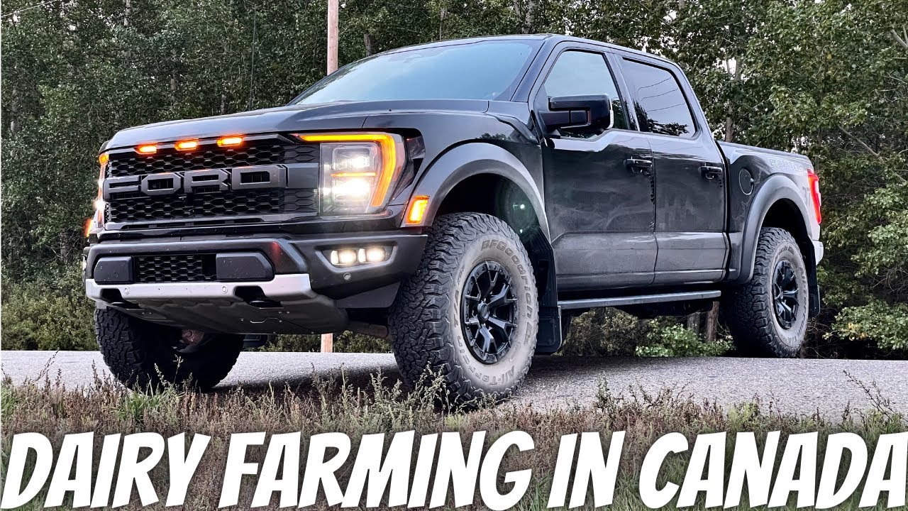I Bought My Dream Truck!