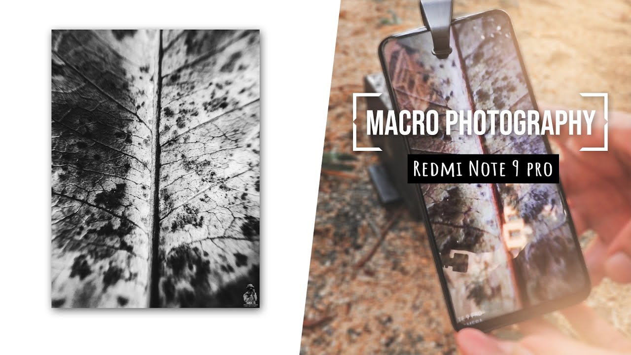 Professional Macro Photography with the Redmi Note 9 Pro!