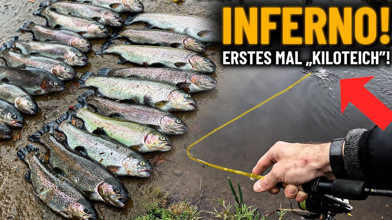 20 FORELLEN-INFERNO im HARZ
