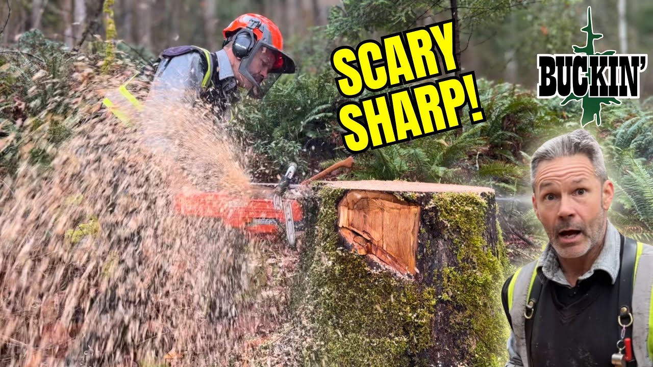 There’s Just Nothing Like It! DIALED CHAINSAW