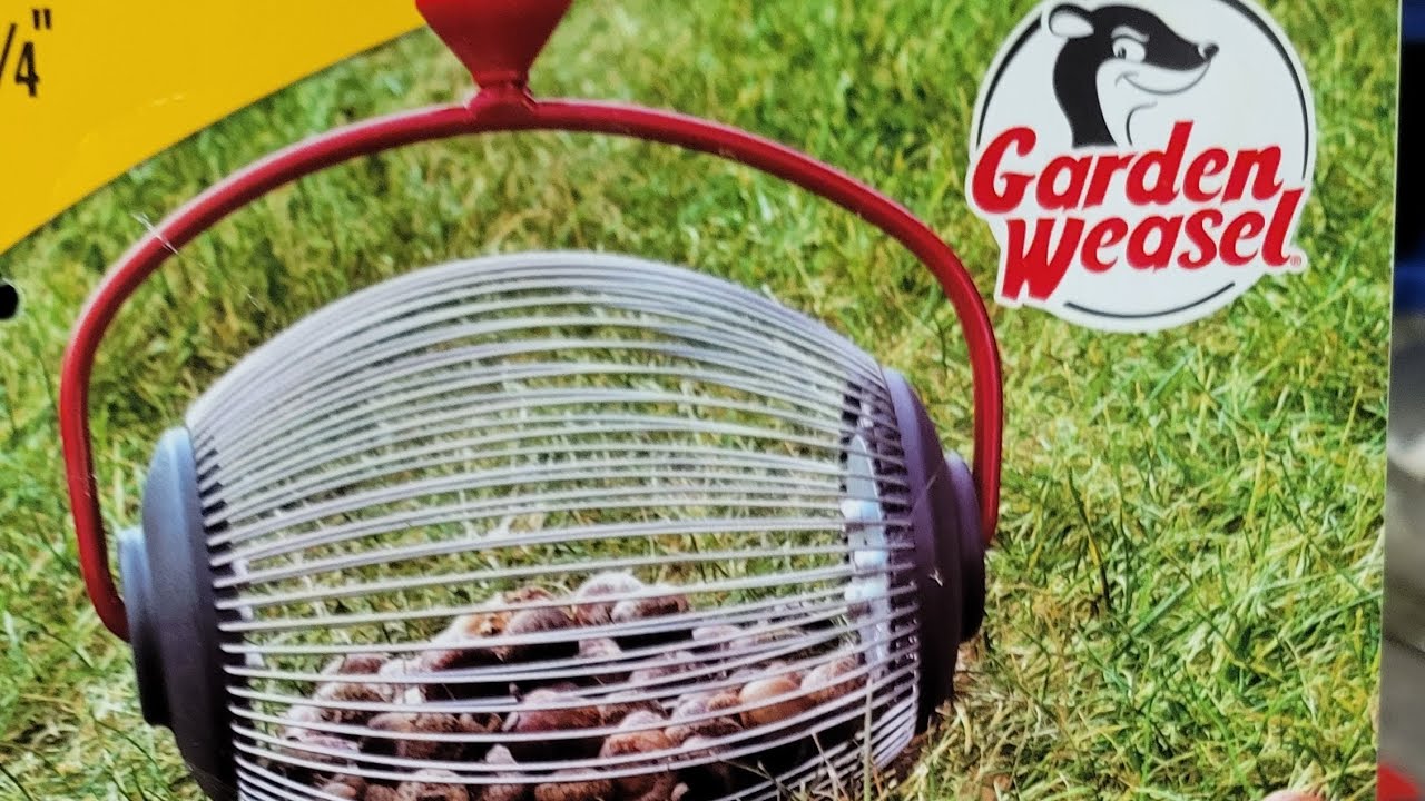 Garden Weasel small nut gatherer roller picker upper.