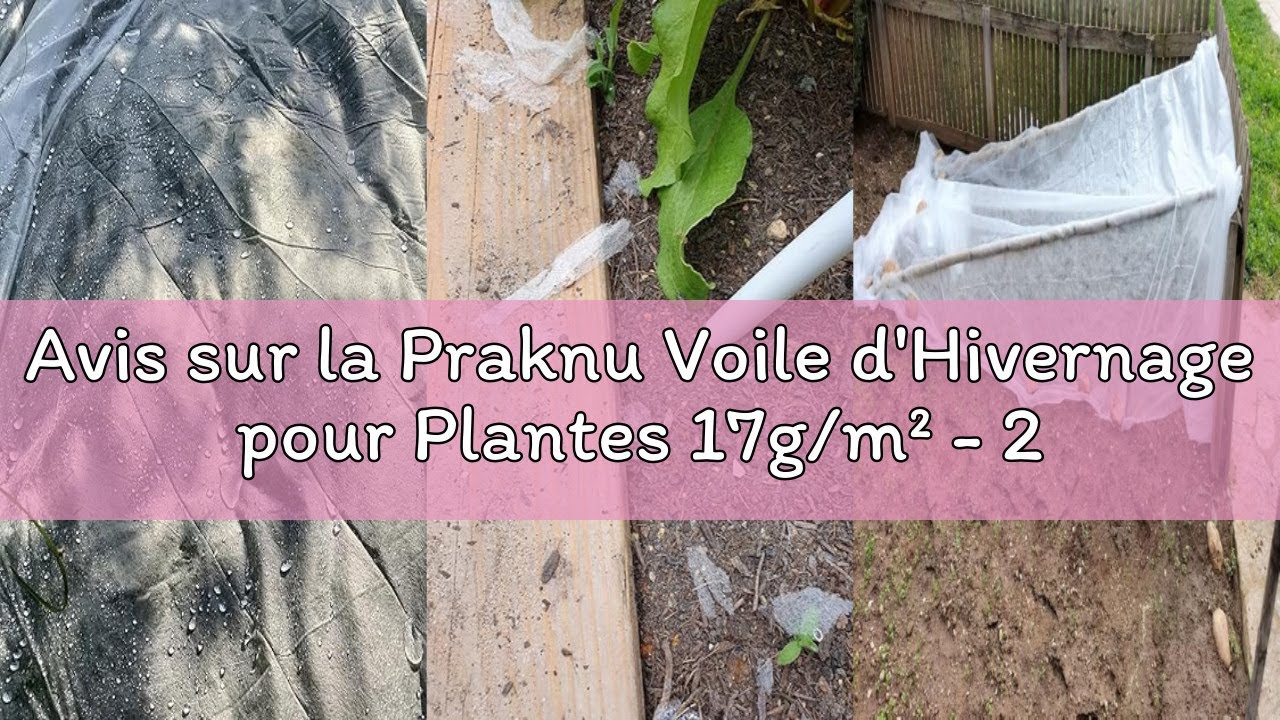 Avis sur la Praknu Voile d'Hivernage pour Plantes 17g/m² - 20m² (2x10m) - Voile Respirant pour Plate