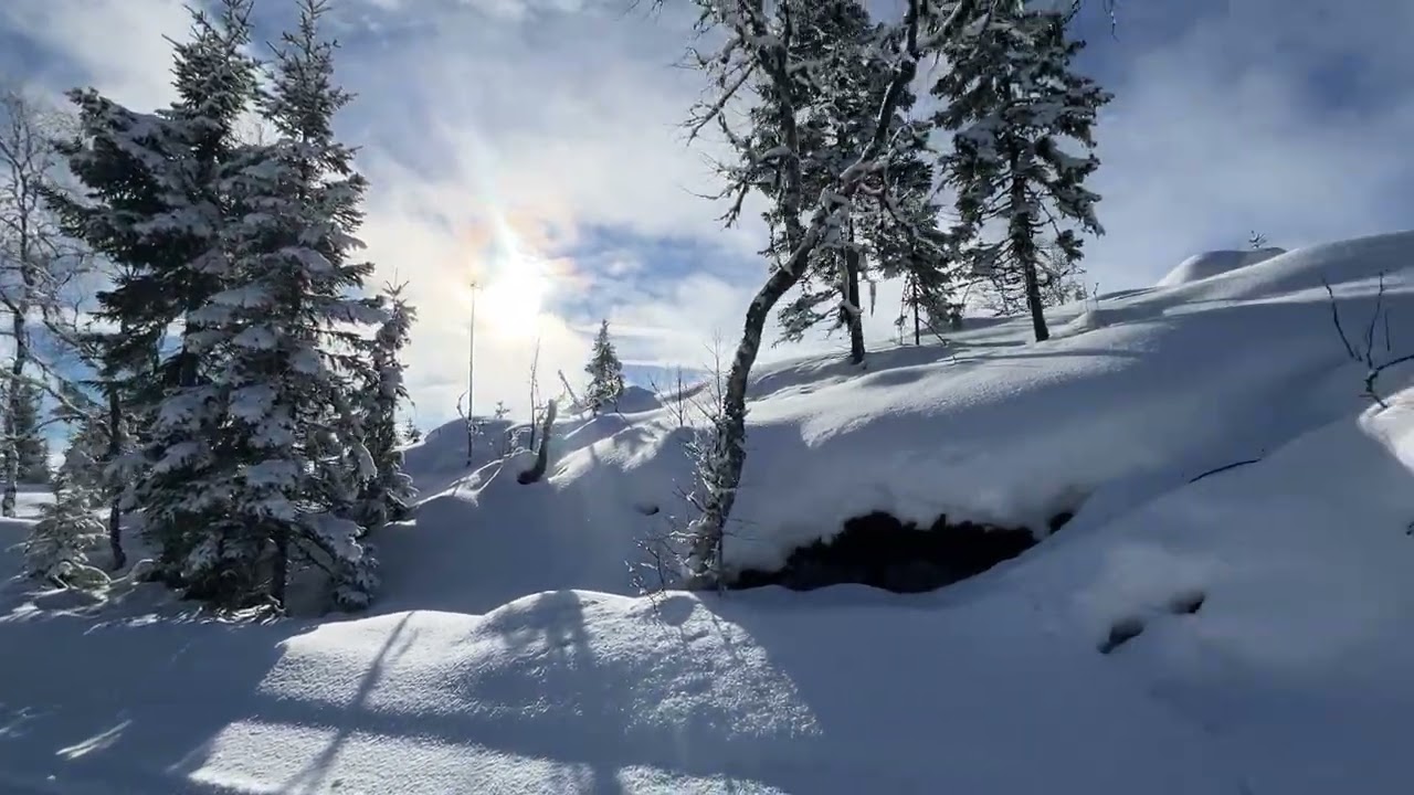 Ved Stubbdalstjern