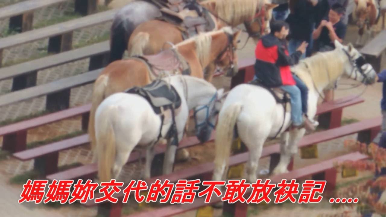 媽媽交代的話(黃三元).mp4