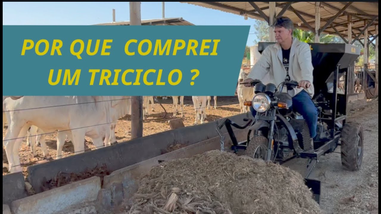 🧑‍🦼POR QUE COMPREI ESTE TRICICLO?