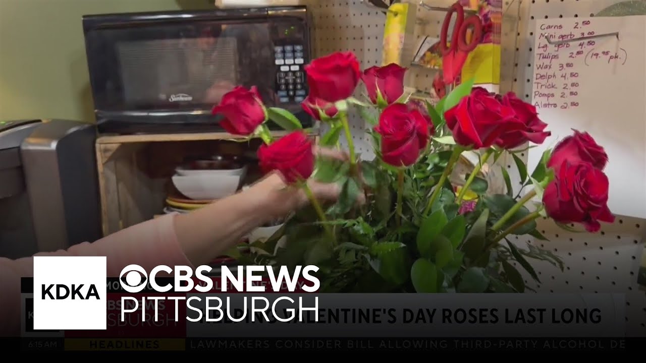 How you can make your Valentine's Day roses last