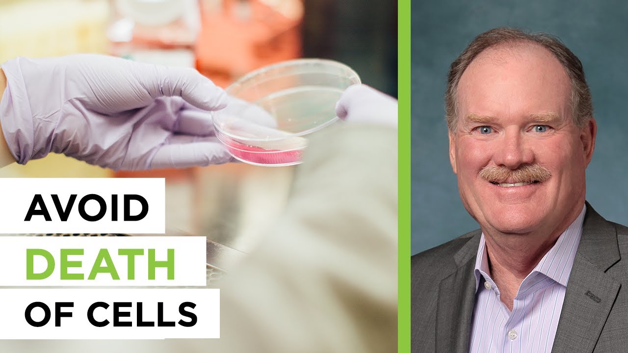 What Can We Learn from Senotherapeutics? - With Dr. Jeffrey Bland | The Empowering Neurologist EP.98