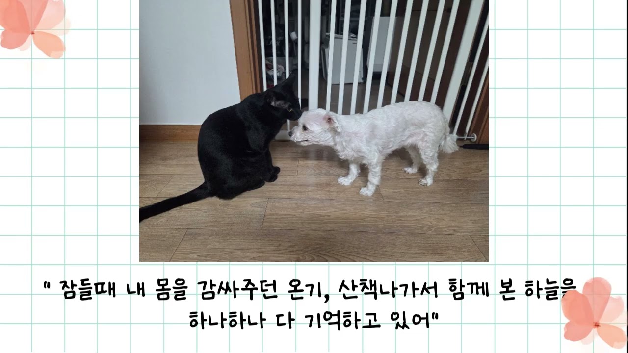 루다
