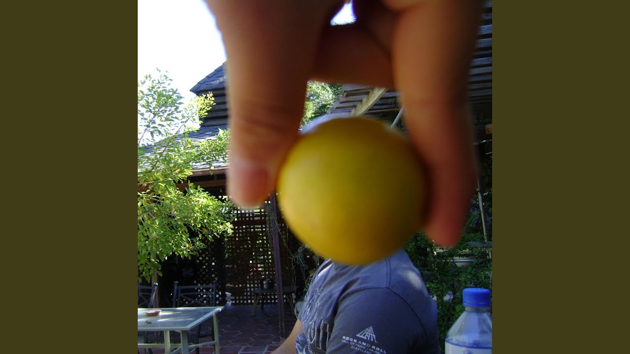 Attention Seeking Instagram Notes