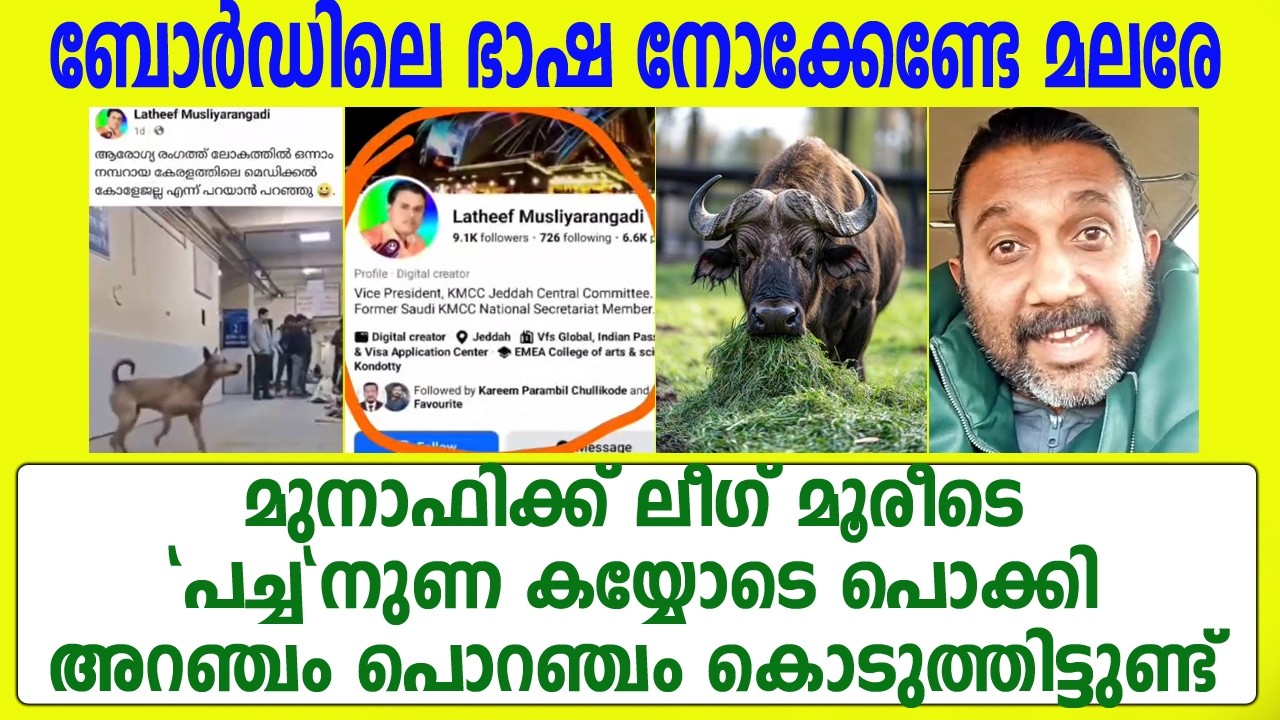 തന്തയില്ലാതരം കാണിച്ചത് കൊണ്ടാ ഇത്രേം പറയേണ്ടി വന്നത്🙆 ഇവറ്റകൾക്ക് എന്ത് ഇസ്ലാം.. ഫൂ😡 #shameer 