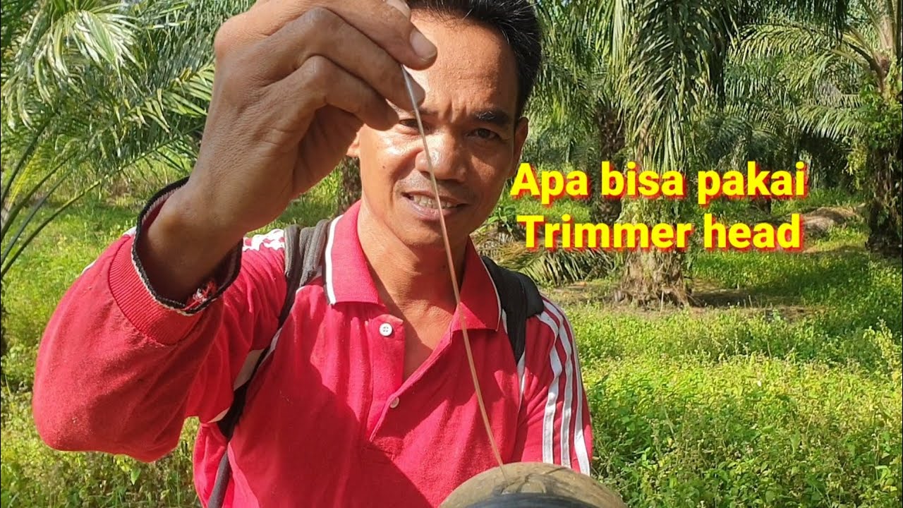 Senar pancing 1,55mm. setajam silet