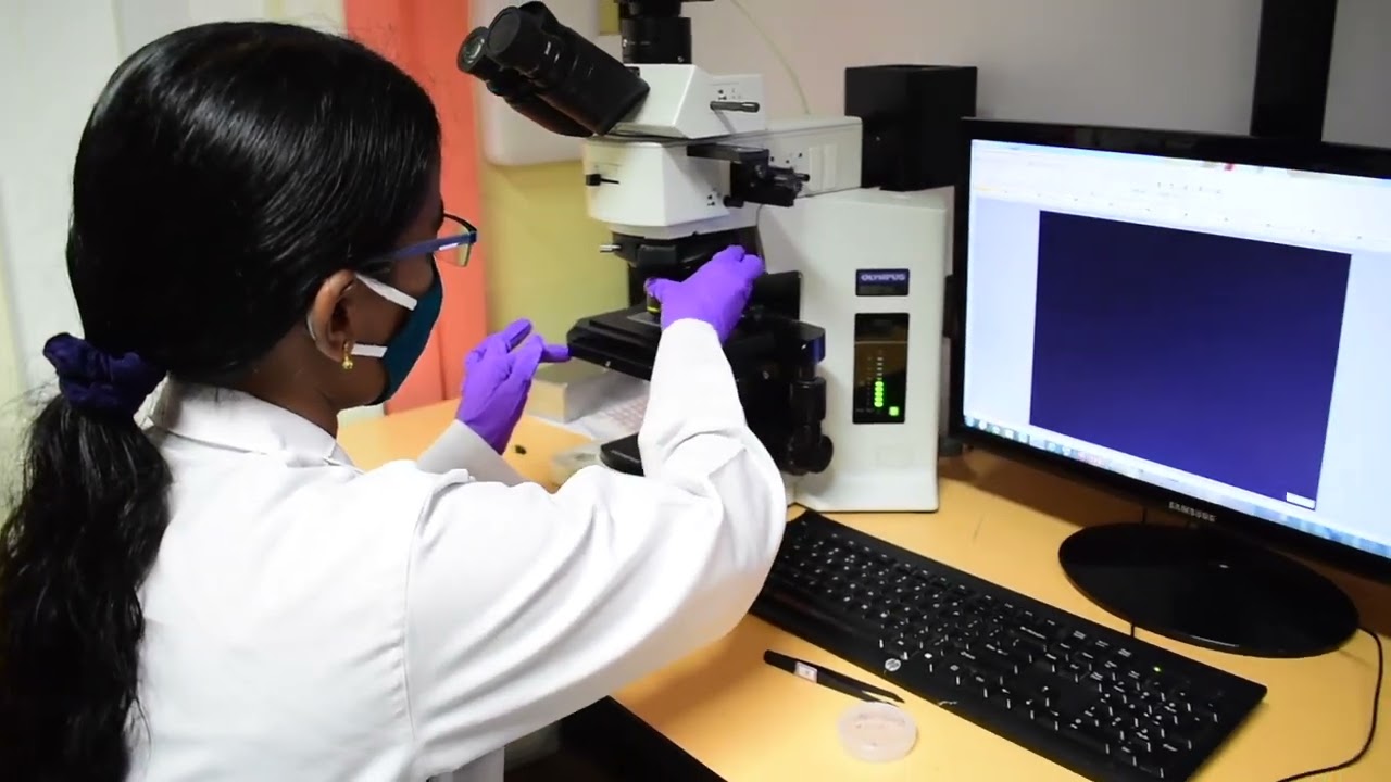 Quantum Device Fabrication & Measurement: From Simple to Sample | Qtran Lab