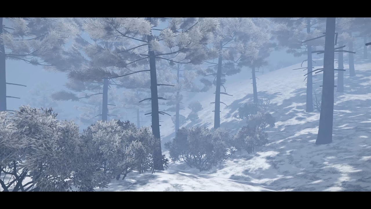 Winter Wasteland Ambience