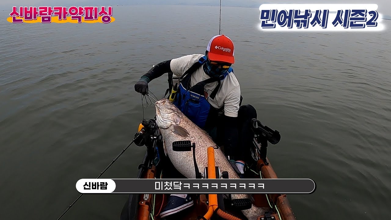 카약 질질 끌고가는 대왕 민어낚시 싯가 1XX만원 가성비 쌉오지는 카약피싱~ 선상낚시 보팅낚시 외수질낚시
