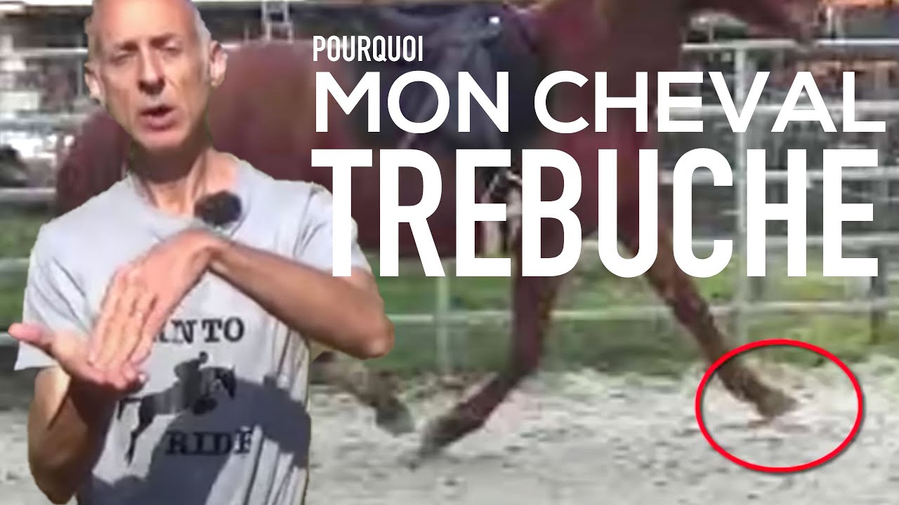 Pourquoi mon cheval trébuche