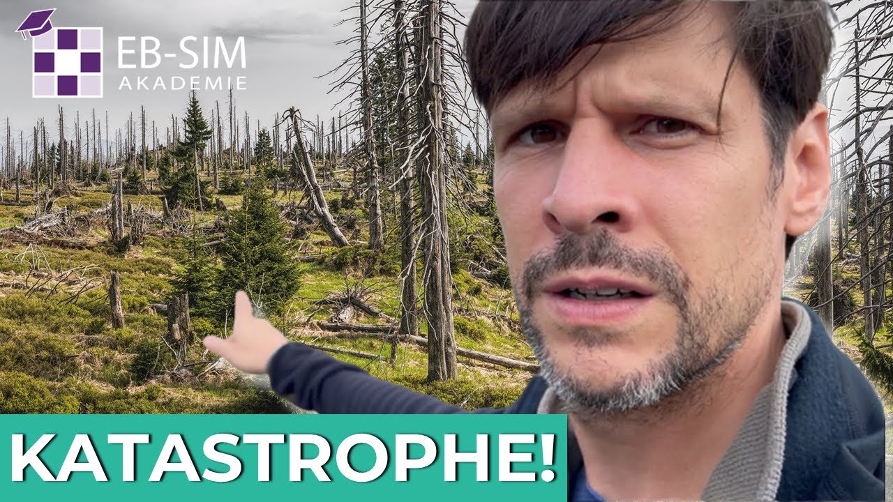 Die Katastrophe im Harz - Waldsterben, Borkenkäfer und der Klimawandel