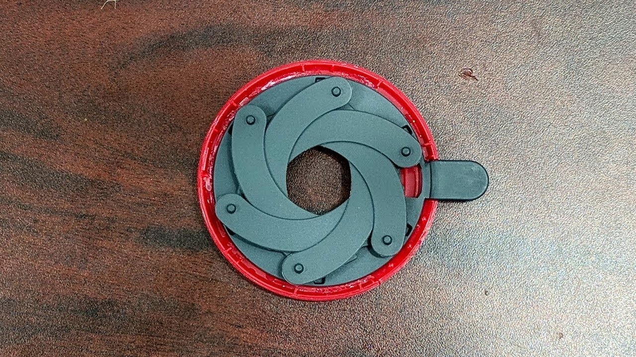 Spaghetti iris dismantled and reassembled